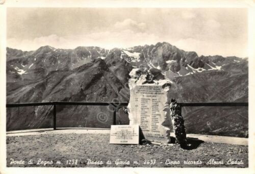 Cartolina Ponte di Legno Passo di Gavia Cippo ricordo Alpini …