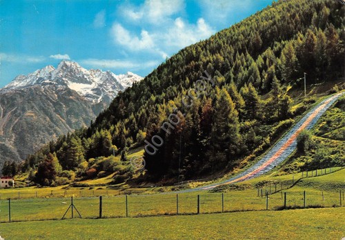 Cartolina Ponte di Legno Trampolino di Plastica per salto con …