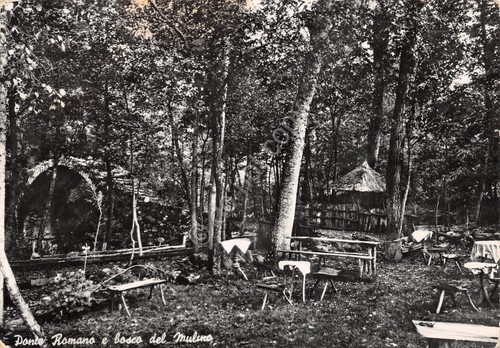 Cartolina Ponte Romano e Bosco del Mulino Albergo dei Cacciatori …