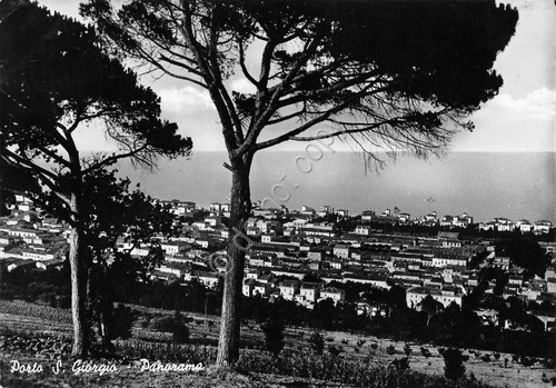Cartolina Porto San Giorgio Panorama 1950