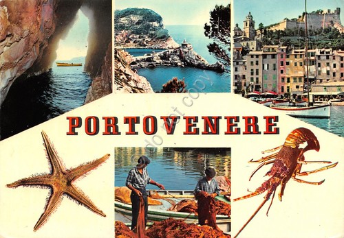 Cartolina Porto Venere vedute pescatori aragosta stella marina (La Spezia)