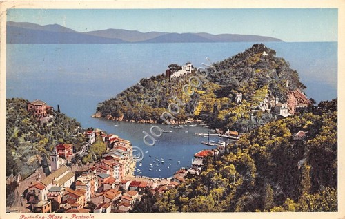 Cartolina Portofino Panorama dall'alto della penisola Ed. Brunner