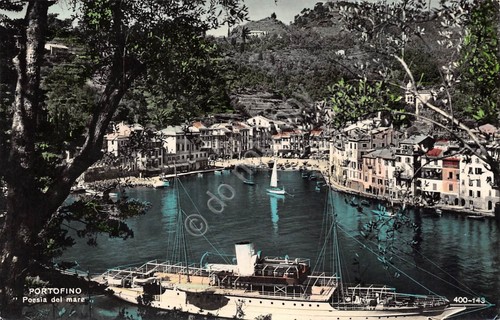 Cartolina Portofino Panorama dall'alto nave anni '50