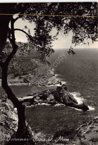 Cartolina Portovenere scorcio panoramico sul mare dall'alto 1954