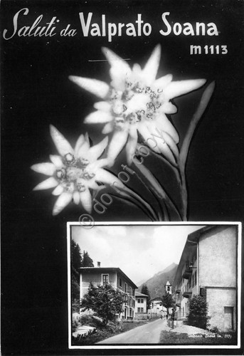 Cartolina Postcard - Saluti da - Valprato Soana - vedutine …