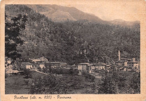 Cartolina Pradleves Panorama