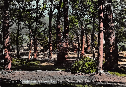 Cartolina Prato Sopralacroce Chiavari Bosco delle fate colorata anni '60