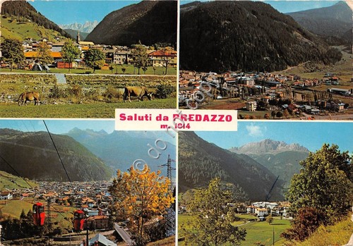 Cartolina Predazzo Vedutine 1978 (Trento)