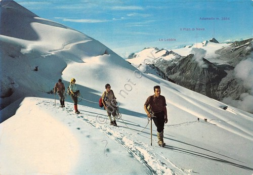 Cartolina Presanella Cordata animata