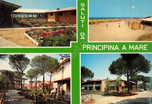 Cartolina Principina a mare 4 vedute (Grosseto)