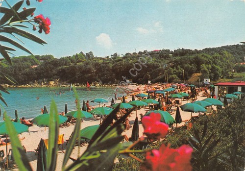 Cartolina Procchio Isola d' Elba Hotel Desiree spiaggia 1986 (Livorno)