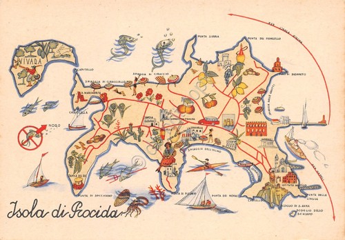 Cartolina Procida mappa illustrata dell'isola Aterocca Terni