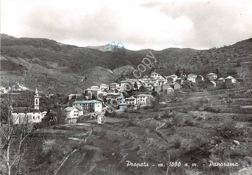 Cartolina Propata Panorama 1960