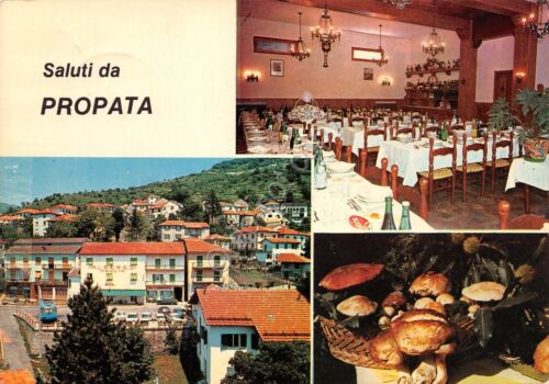 Cartolina Propata panorama Albergo Paulin 1976