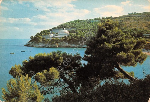 Cartolina Pugnochiuso Gargano Albergo del Faro 1982