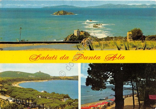 Cartolina Punta Ala 3 vedute (Grosseto)