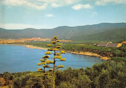 Cartolina Punta Ala Welt Ring Club Haus e golfo 1969