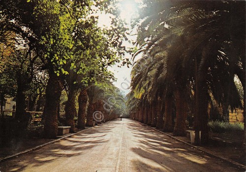 Cartolina Ragusa Ibla Viale del giardino Ibleo