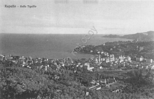 Cartolina Rapallo Golfo Tigullio Ed. Brunner