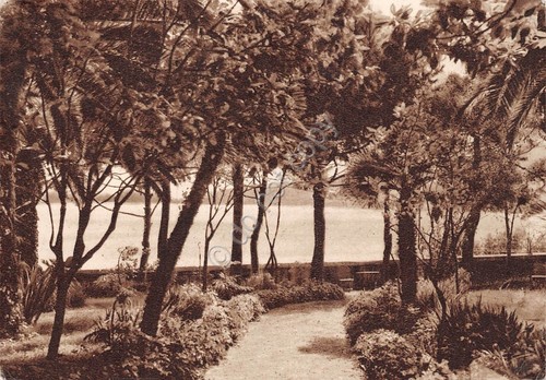 Cartolina Rapallo Istituto Orsoline di Maria Immacolata Giardino 1959