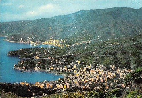 Cartolina Rapallo Panorama da Montallegro 1964 segni (Genova)