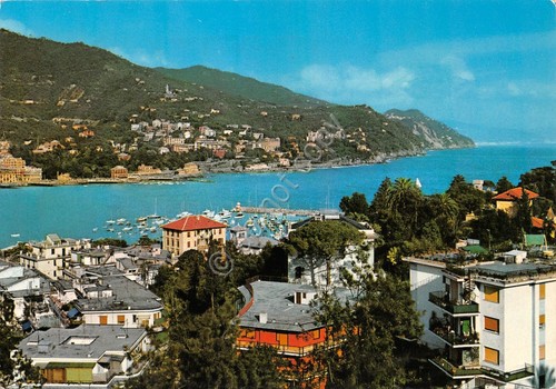 Cartolina Rapallo panorama parziale 1971 Timbro targhetta Risparmio PT (Genova)