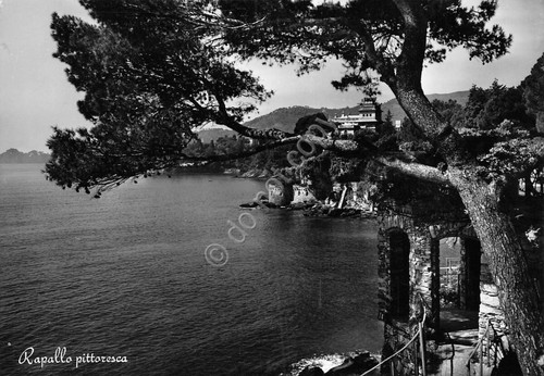 Cartolina Rapallo panorama parziale dall'alto (Genova)