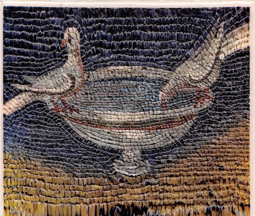 Cartolina Ravenna Galla Placida Le colombine che si abbeverano in …