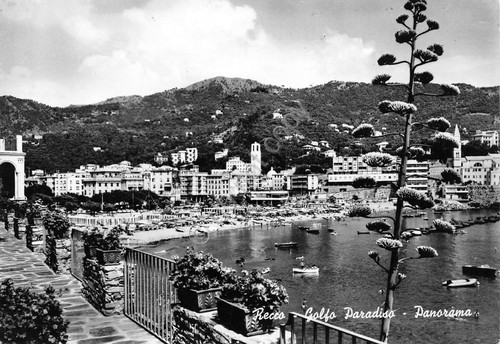 Cartolina Recco Panorama e spiaggia 1964