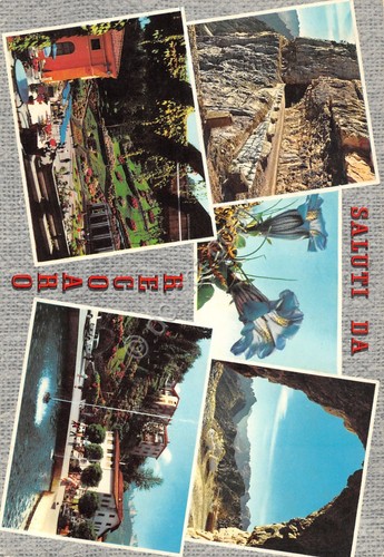 Cartolina Recoaro Strada degli eroi Piazza Duca D'Aosta ingresso Fonti …