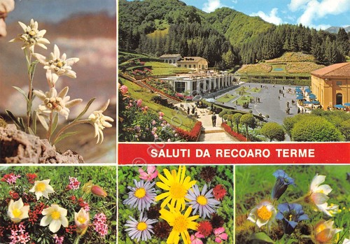 Cartolina Recoaro Terme varie vedute e fiori (Vicenza)
