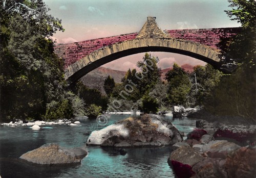 Cartolina Rezzoaglio Antico Ponte sull 'Aveto 1958 colorata