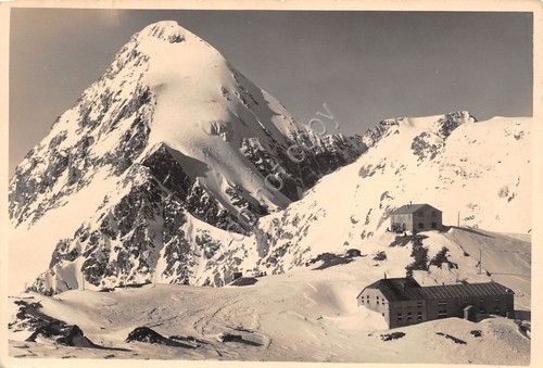 Cartolina Rifugio Casati Gruppo Ortles