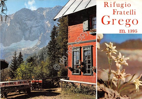 Cartolina Rifugio Fratelli Grego stella alpina 1971