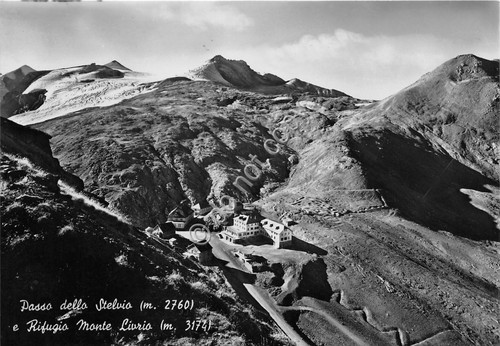 Cartolina Rifugio Monte Livrio Passo dello Stelvio (Bolzano)