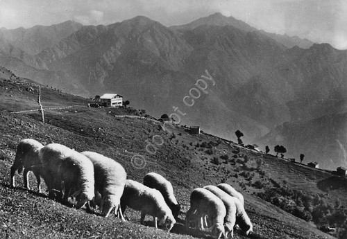Cartolina Rifugio Tedeschi timbro inaugurazione 1947 autografo Bartolomeo Figari