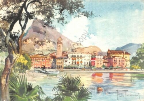 Cartolina Riva del Garda panorama n.2 Illustrata Raimondi