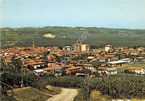 Cartolina Rivalta Bormida Panorama