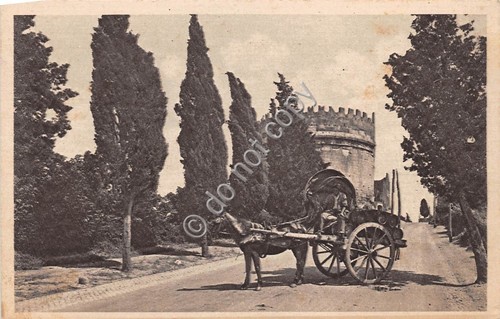 Cartolina Roma Tomba di Cecilia Metella Carro con cavallo