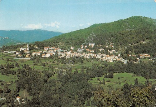Cartolina Rovegno panorama 1989