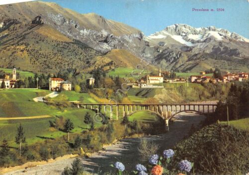 Cartolina Rovetta e Fino Ponte su fiume Valeggia 1951