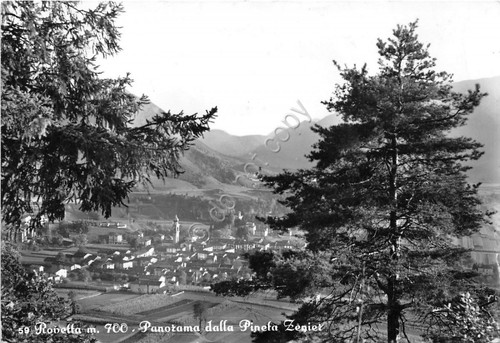Cartolina Rovetta Panorama dalla pineta Zenier anni '60 (Bergamo)