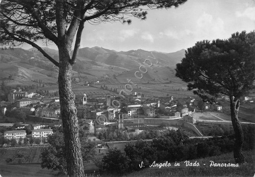 Cartolina S. Angelo in Vado Panorama 1954