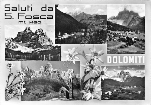 Cartolina S. Fosca vedute varie e stelle alpine 1958