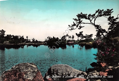 Cartolina S. Stefano d' Aveto Lago Nero colorata 1965