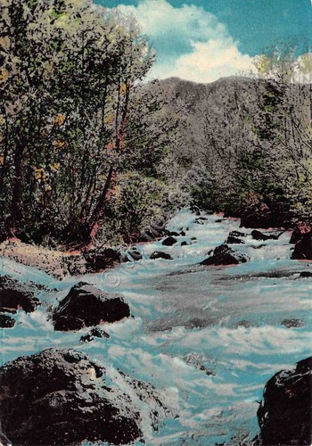 Cartolina S. Stefano d' Aveto Riofreddo e M. Maggiorasca 1962 …