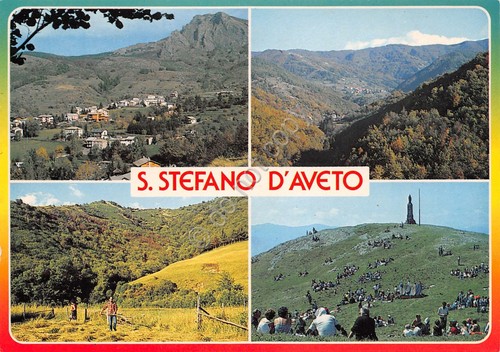 Cartolina S. Stefano d'Aveto vedute festa votiva sul Maggiorasca fienagione