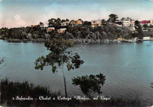 Cartolina Sabaudia Chalet Cottage Ninfea sul Lago