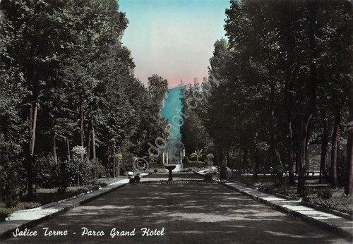 Cartolina Salice Terme Parco Grand Hotel 1960 (Pavia)