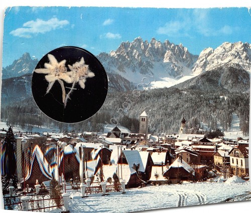 Cartolina San Candido Innichen 1976 panorama con stella alpina